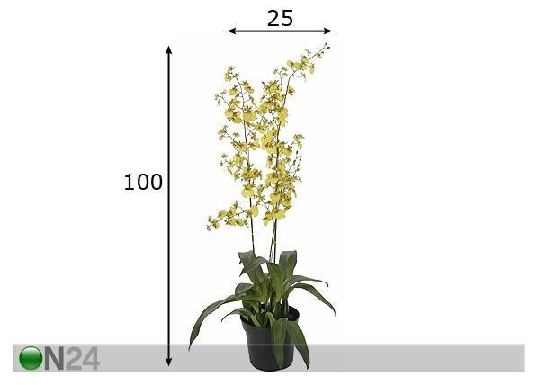Orkidea, keltainen 100 cm mitat