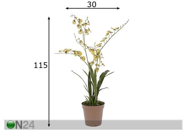 Orkidea, keltainen 115 cm mitat