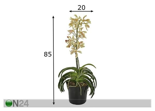 Orkidea, keltainen 85 cm mitat
