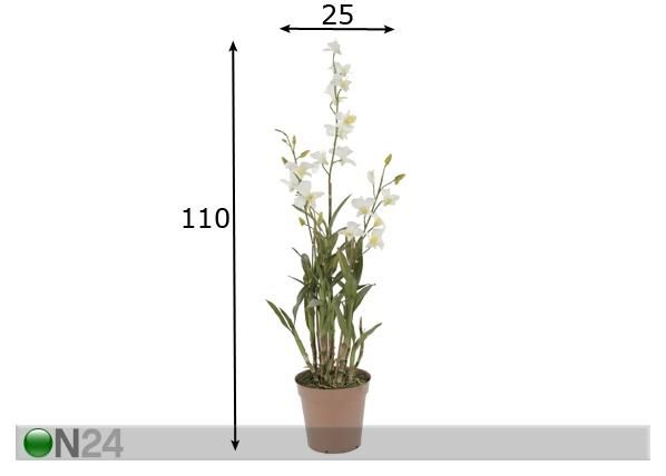 Orkidea, valkoinen 110 cm mitat