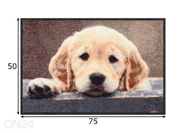 Ovimatto NOSY DOG 50x75 cm mitat