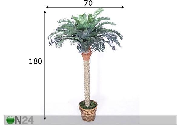 Palmupuu 180 cm mitat