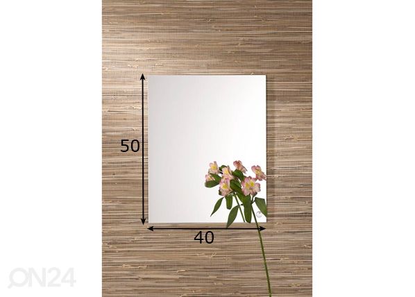 Peili Alpha-1 50x40 cm mitat