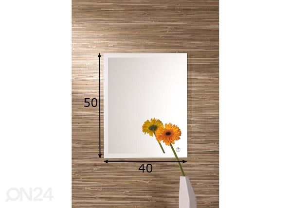 Peili Lorena 2 40x50 cm mitat