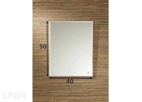 Peili Miro F10 50x40 cm mitat