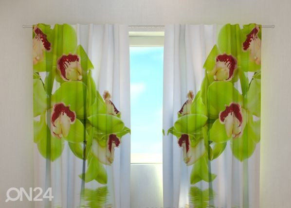 Pimennysverhot Lime coloured orchid 240x220 cm