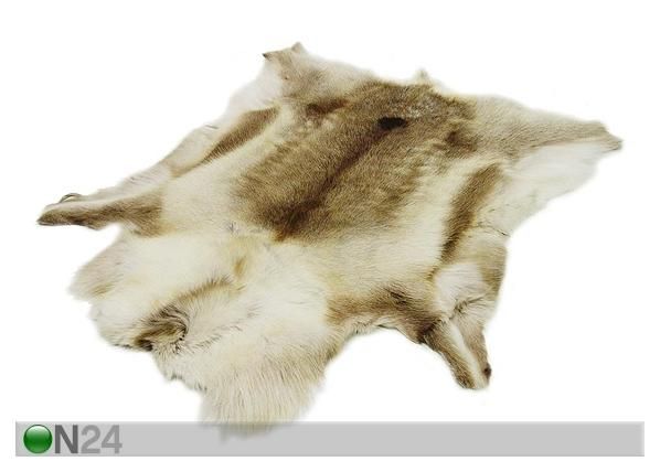 Porontalja 80x110 cm mitat