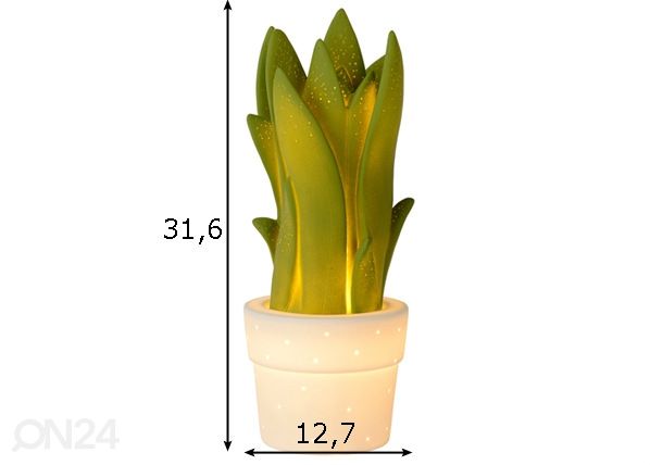 Pöytävalaisin Sensevieria mitat