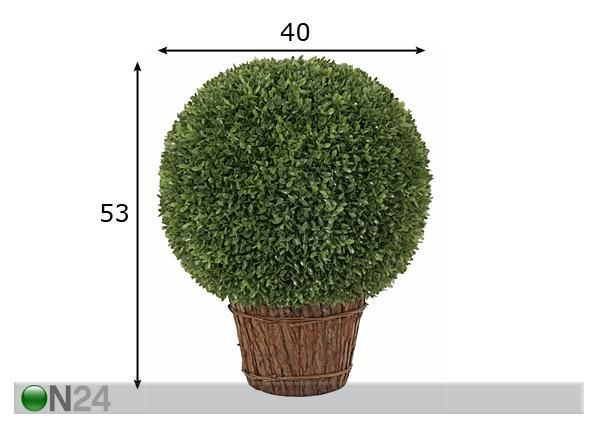 Puksipuu 53 cm mitat