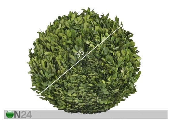 Puksipuu M 35 cm mitat