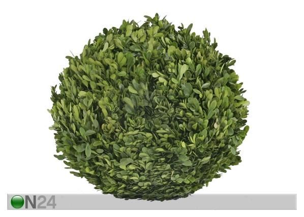 Puksipuu M 35 cm