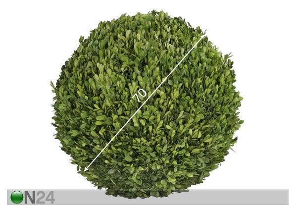 Puksipuu XL 70 cm mitat