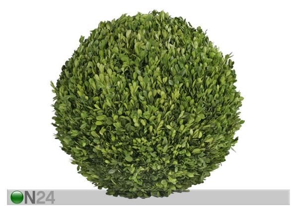 Puksipuu XL 70 cm