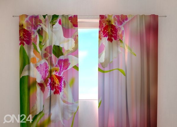 Puolipimentävä verho MOTTLE ORCHIDS 1, 240x220 cm