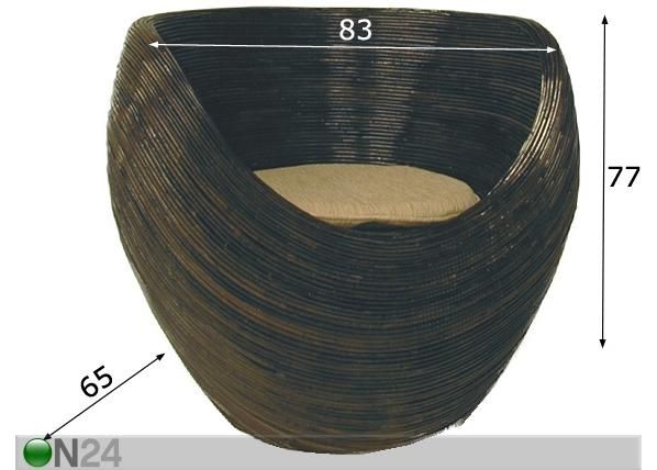 Rottinkituoli mitat