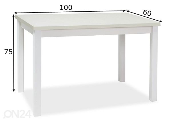 Ruokapöytä Robert 100x60 cm mitat