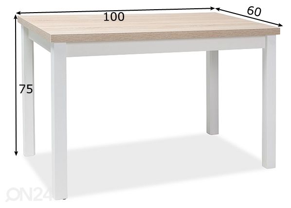 Ruokapöytä Robert 100x60 cm mitat