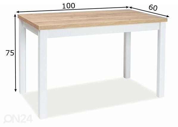 Ruokapöytä Robert 100x60 cm mitat