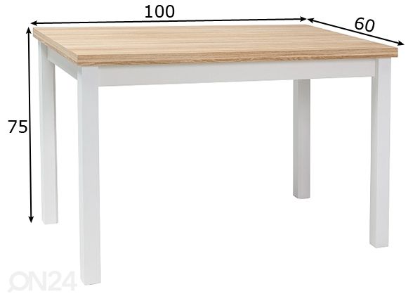 Ruokapöytä Robert 100x60 cm mitat