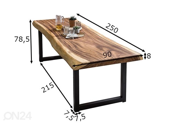 Ruokapöytä Tische 100x250 cm mitat