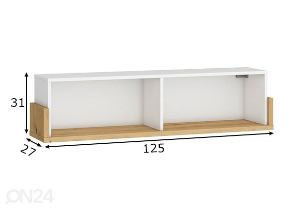 Seinähylly mitat