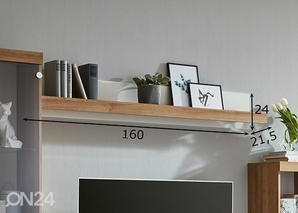 Seinähylly BRISTOL 14 mitat