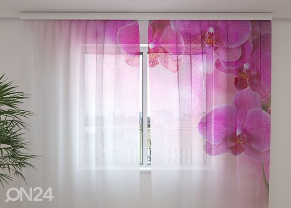 Sifonki-kuvaverho INTRIQUE 240x220 cm