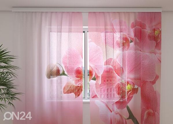 Sifonki-kuvaverho PINK ORCHID 240x220 cm