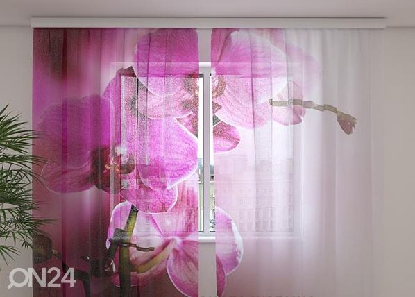 Sifonki-kuvaverho PURPLE ORCHIDS 240x220 cm
