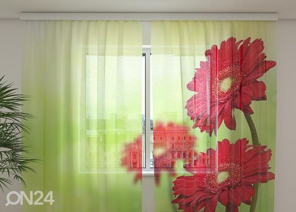 Sifonki-kuvaverho RED GERBERAS 240x220 cm
