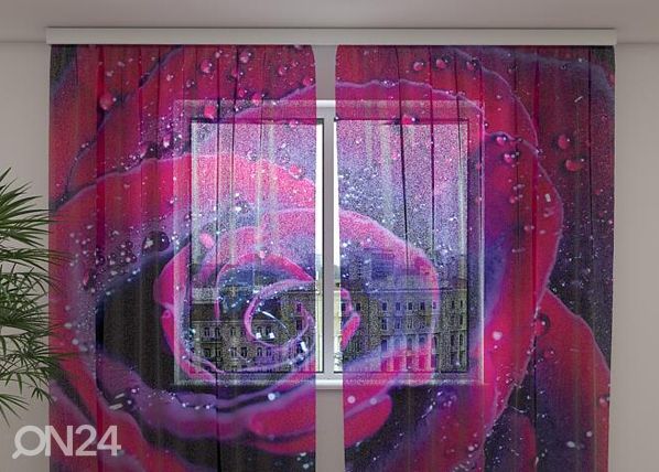 Sifonki-kuvaverho ROSE OF LOVE 240x220 cm