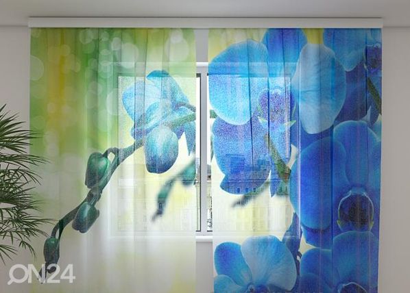 Sifonki-kuvaverho ROYAL ORCHID 240x220 cm