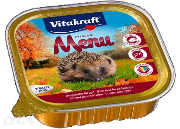Siilin säilykeruoka 600 g