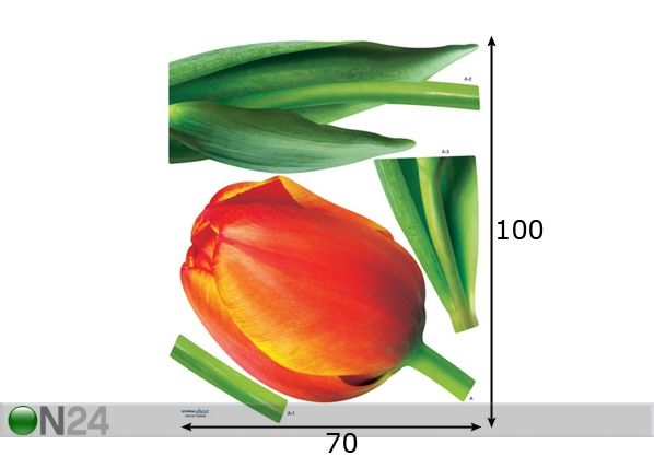 Sisustustarra TULPPAANIT mitat