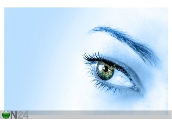 Taulu ABSTRACT EYE 122X80 cm