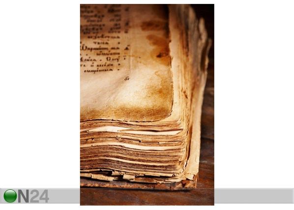 Taulu ANCIENT BOOK 40x60 cm