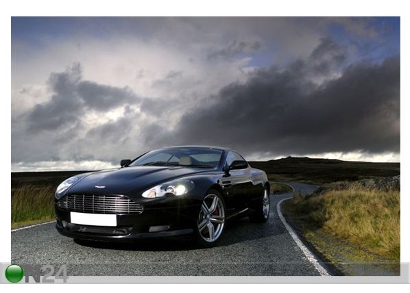 Taulu ASTON MARTIN DB9s 60x40 cm