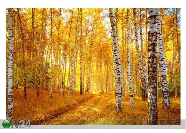 Taulu AUTUMN BIRCH FOREST 134x90 cm