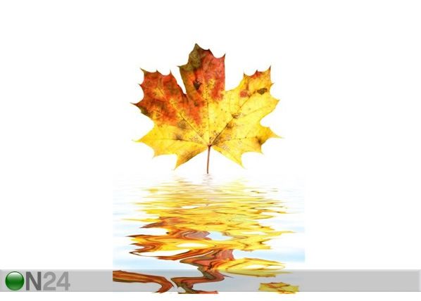 Taulu AUTUMN LEAF 60x90 cm