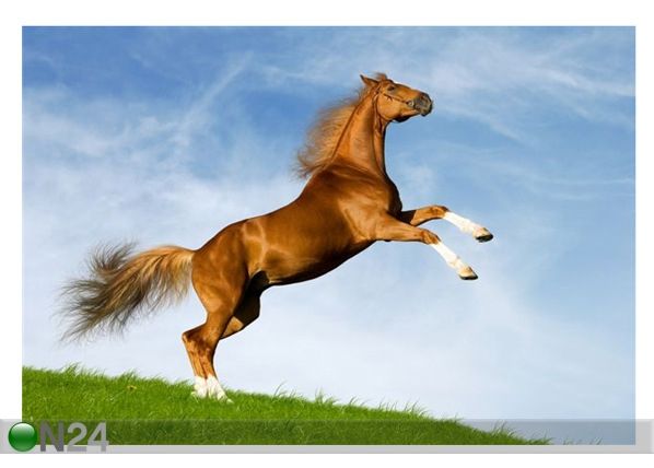 Taulu BAVARIAN CHESNUT HORSE 88x60 cm