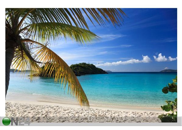 Taulu BEAUTIFUL CARIBBEAN ISLAND 75x50 cm