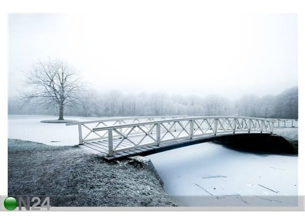 Taulu BEAUTIFUL COLD AND WHITE WINTER 90x60 cm