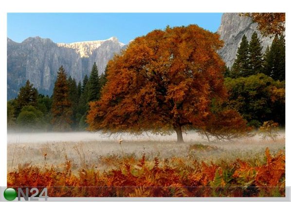 Taulu BEAUTIFUL MIST IN EARLY MORNING 196x130 cm