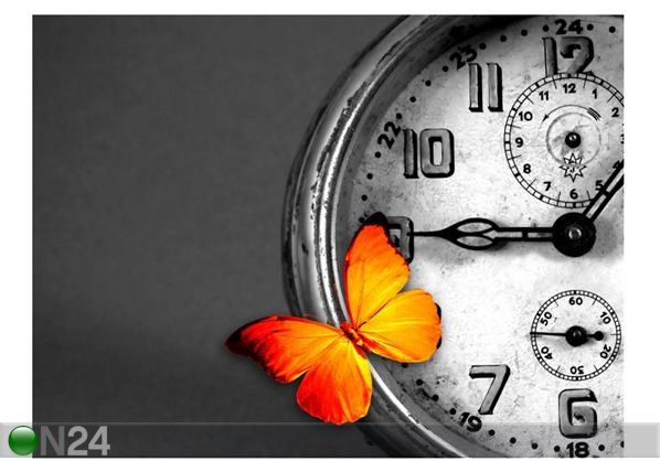 Taulu BUTTERFLY RESTING OVER AN OLD VINTAGE CLOCK 67x50 cm