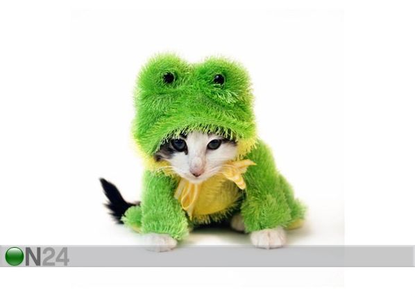 Taulu CAT IN FROG COSTUME 100x102 cm