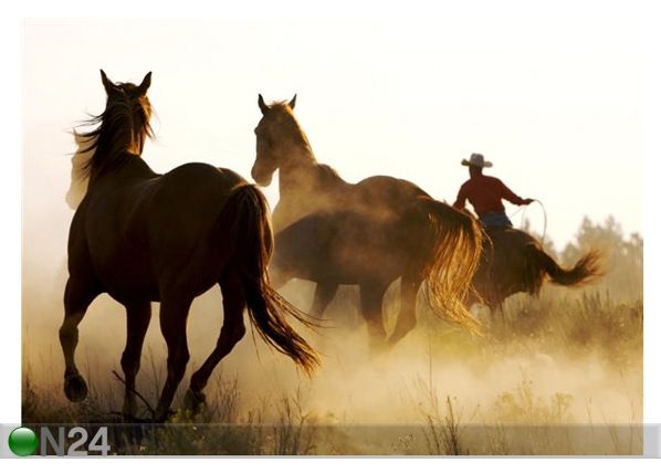 Taulu CATCHING THE HORSES 170x120 cm