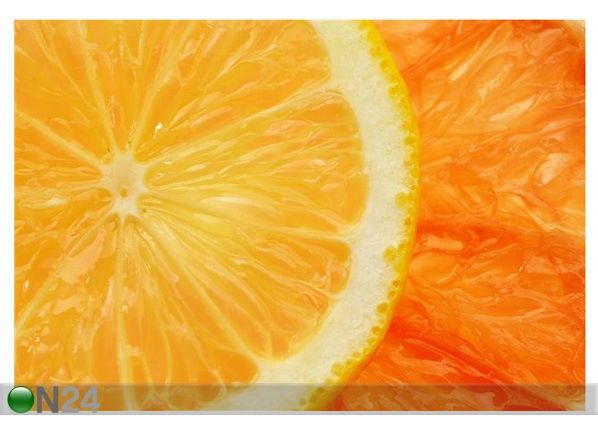 Taulu CITRUS BACKROUND 75x50 cm