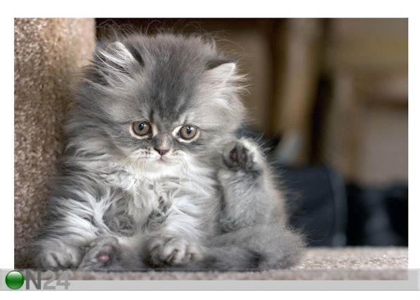 Taulu CLEANING UP 60x40 cm