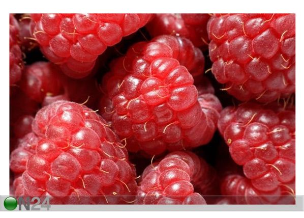 Taulu CLOSE UP OF FRESH RASBERRIES 165x110 cm
