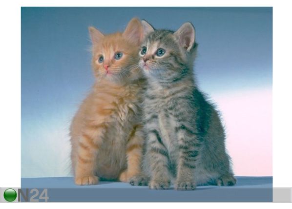 Taulu CUTE KITTENS 142x110 cm